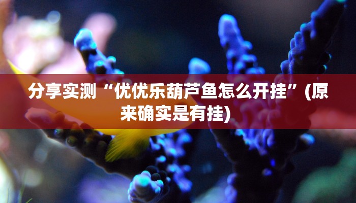 分享实测“优优乐葫芦鱼怎么开挂”(原来确实是有挂) 