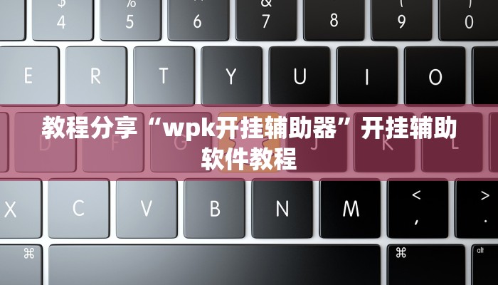 教程分享“wpk开挂辅助器”开挂辅助软件教程
