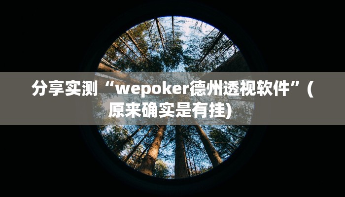 分享实测“wepoker德州透视软件”(原来确实是有挂) 