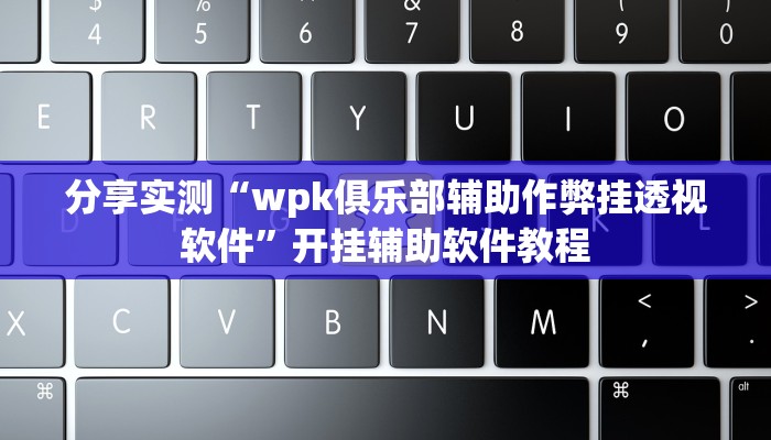 分享实测“wpk俱乐部辅助作弊挂透视软件”开挂辅助软件教程