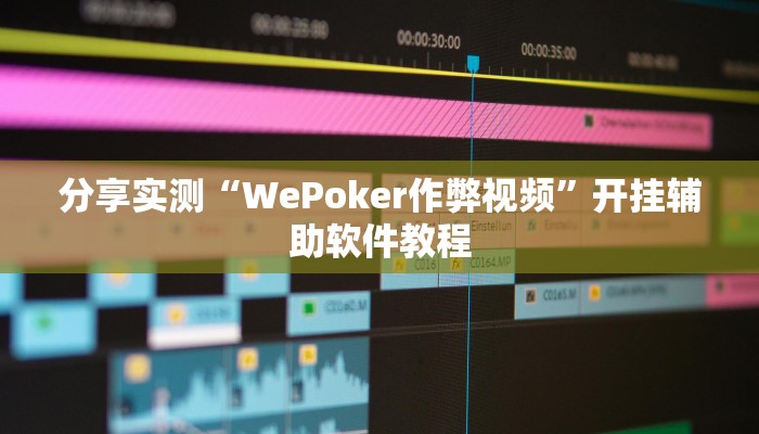 分享实测“WePoker作弊视频”开挂辅助软件教程