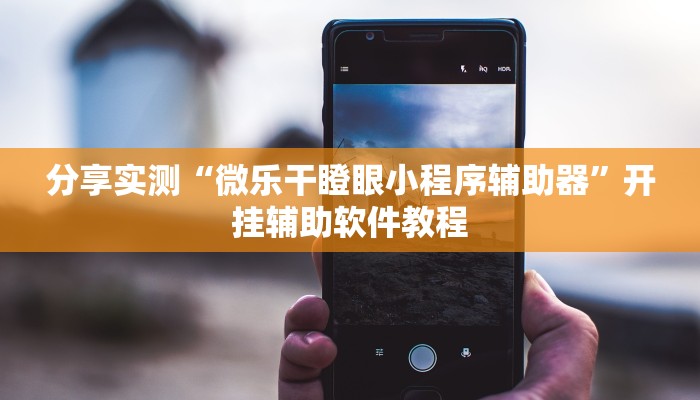 分享实测“微乐干瞪眼小程序辅助器”开挂辅助软件教程