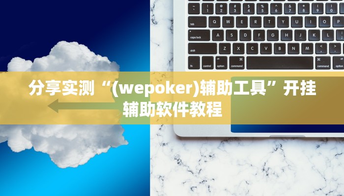 分享实测“(wepoker)辅助工具”开挂辅助软件教程