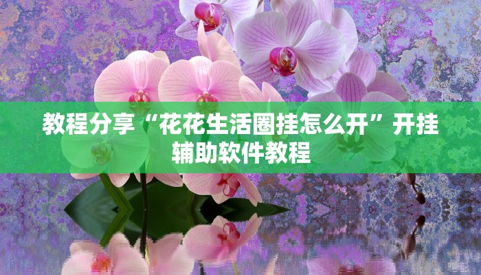 教程分享“花花生活圈挂怎么开”开挂辅助软件教程
