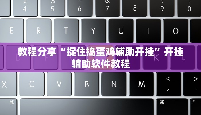 教程分享“捉住捣蛋鸡辅助开挂”开挂辅助软件教程