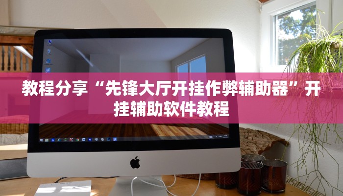 教程分享“先锋大厅开挂作弊辅助器”开挂辅助软件教程