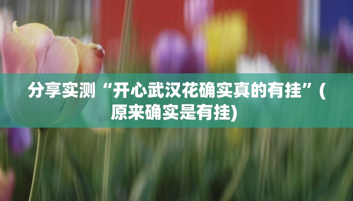 分享实测“开心武汉花确实真的有挂”(原来确实是有挂) 