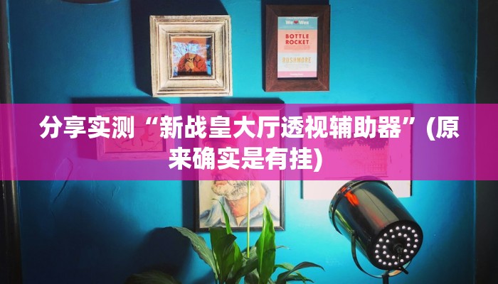 分享实测“新战皇大厅透视辅助器”(原来确实是有挂) 