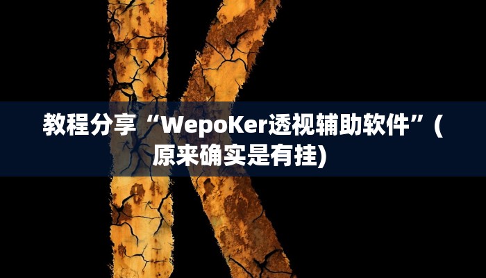 教程分享“WepoKer透视辅助软件”(原来确实是有挂) 