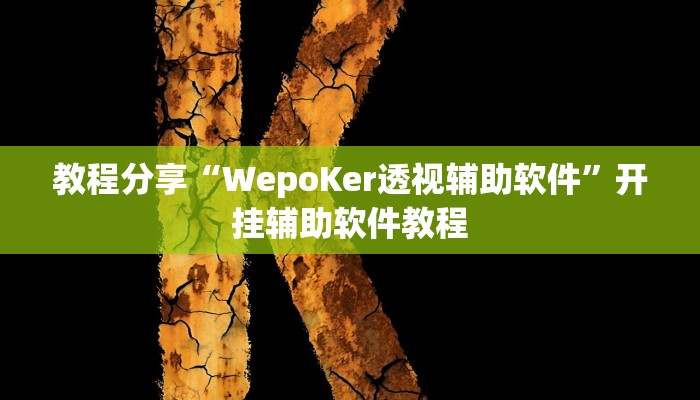 教程分享“WepoKer透视辅助软件”开挂辅助软件教程