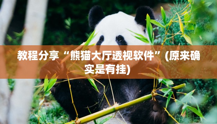 教程分享“熊猫大厅透视软件”(原来确实是有挂) 