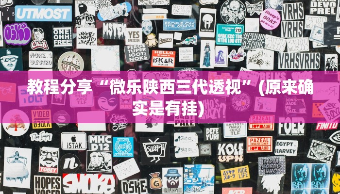 教程分享“微乐陕西三代透视”(原来确实是有挂) 