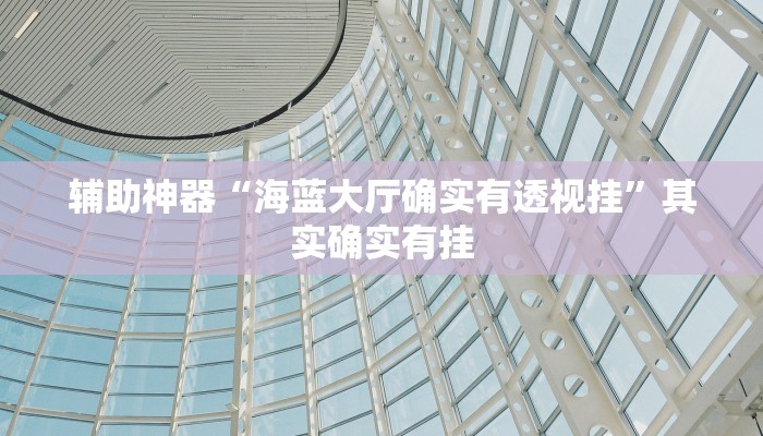 辅助神器“海蓝大厅确实有透视挂”其实确实有挂