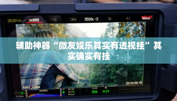 辅助神器“微友娱乐其实有透视挂”其实确实有挂