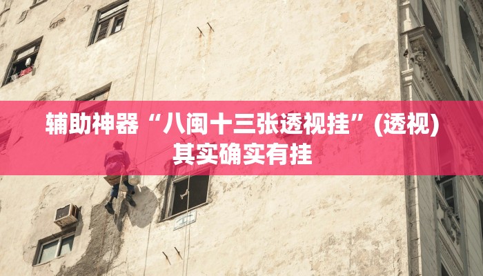 辅助神器“八闽十三张透视挂”(透视)其实确实有挂