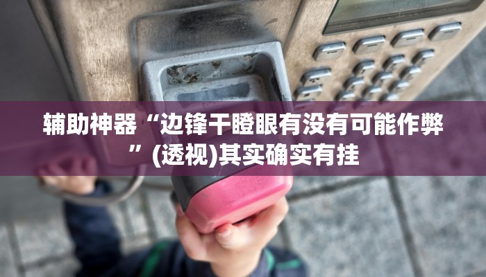 辅助神器“边锋干瞪眼有没有可能作弊”(透视)其实确实有挂 辅助神器“边锋干瞪眼有没有可能作弊”(透视)其实确实有挂