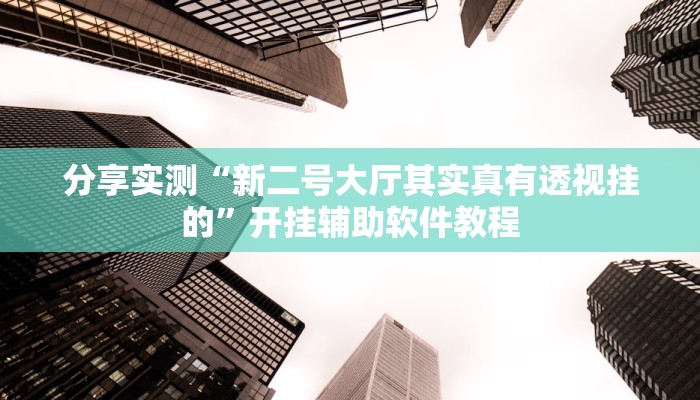 分享实测“新二号大厅其实真有透视挂的”开挂辅助软件教程