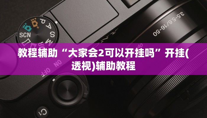 教程辅助“大家会2可以开挂吗”开挂(透视)辅助教程 教程辅助“大家会2可以开挂吗”开挂(透视)辅助教程