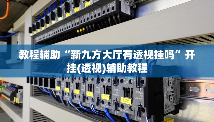 教程辅助“新九方大厅有透视挂吗”开挂(透视)辅助教程