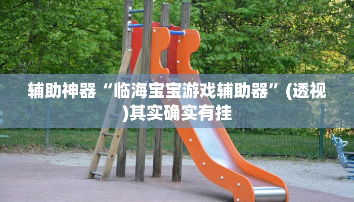 辅助神器“临海宝宝游戏辅助器”(透视)其实确实有挂 辅助神器“临海宝宝游戏辅助器”(透视)其实确实有挂