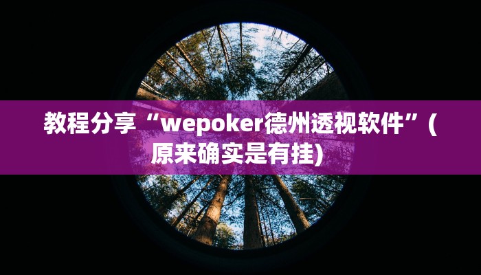 教程分享“wepoker德州透视软件”(原来确实是有挂) 