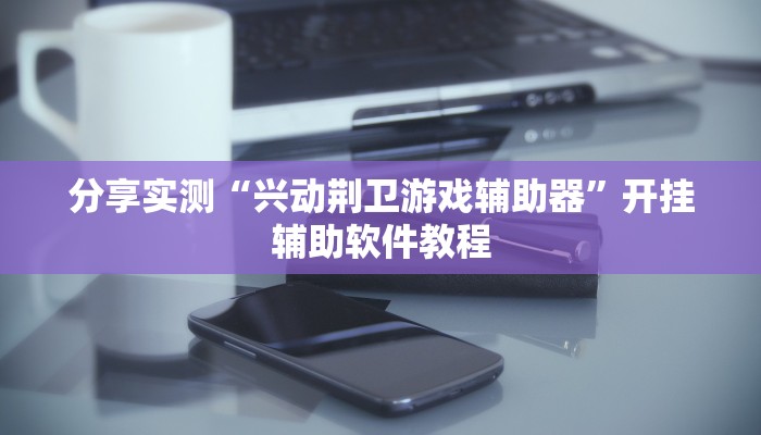 分享实测“兴动荆卫游戏辅助器”开挂辅助软件教程 分享实测“兴动荆卫游戏辅助器”开挂辅助软件教程