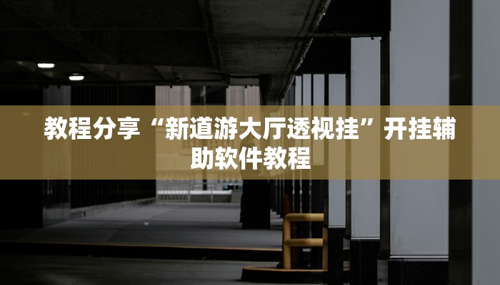 教程分享“新道游大厅透视挂”开挂辅助软件教程