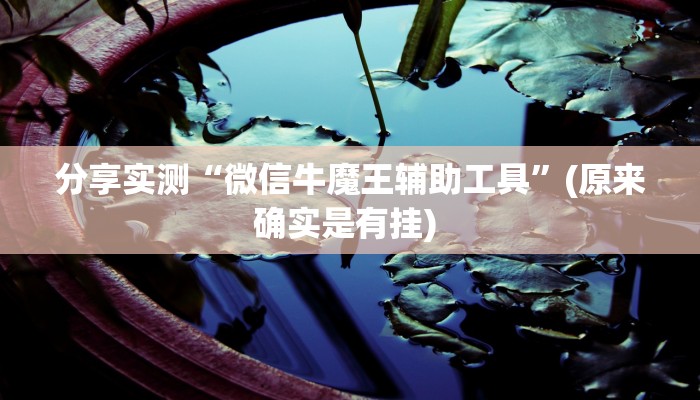 分享实测“微信牛魔王辅助工具”(原来确实是有挂) 