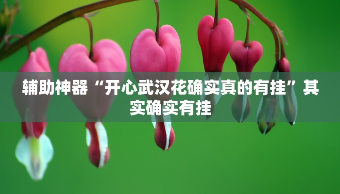 辅助神器“开心武汉花确实真的有挂”其实确实有挂