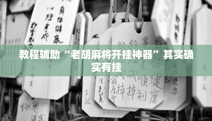 教程辅助“老胡麻将开挂神器”其实确实有挂