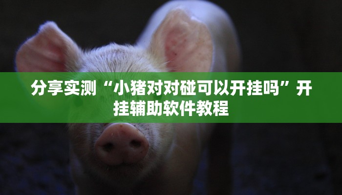 分享实测“小猪对对碰可以开挂吗”开挂辅助软件教程