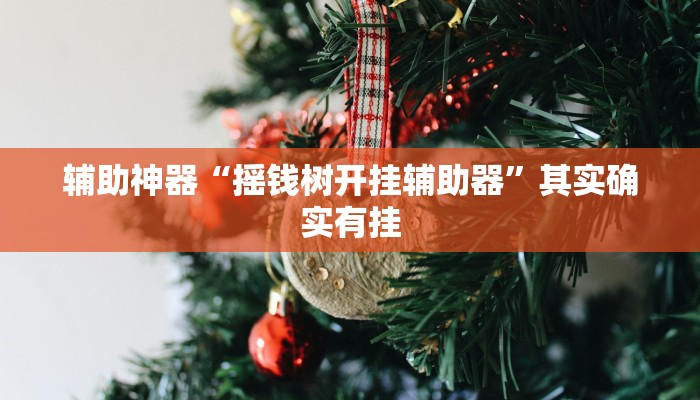 辅助神器“摇钱树开挂辅助器”其实确实有挂