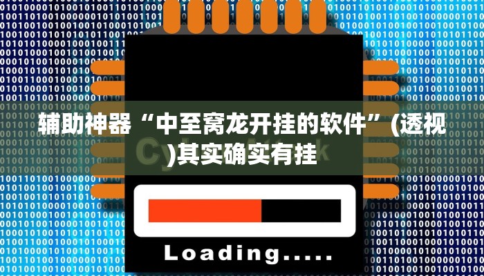 辅助神器“中至窝龙开挂的软件”(透视)其实确实有挂