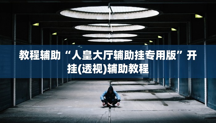 教程辅助“人皇大厅辅助挂专用版”开挂(透视)辅助教程