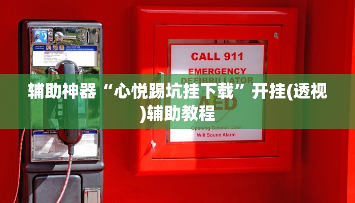 辅助神器“心悦踢坑挂下载”开挂(透视)辅助教程