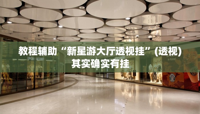 教程辅助“新星游大厅透视挂”(透视)其实确实有挂