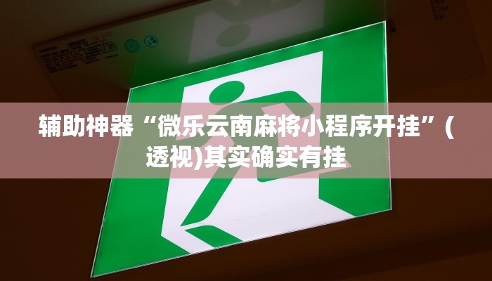 辅助神器“微乐云南麻将小程序开挂”(透视)其实确实有挂