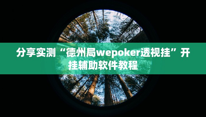 分享实测“德州局wepoker透视挂”开挂辅助软件教程