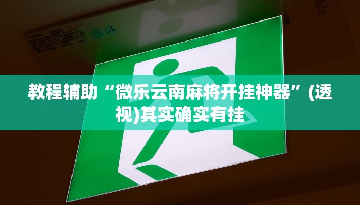 教程辅助“微乐云南麻将开挂神器”(透视)其实确实有挂