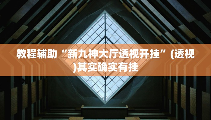 教程辅助“新九神大厅透视开挂”(透视)其实确实有挂