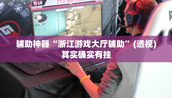 辅助神器“浙江游戏大厅辅助”(透视)其实确实有挂