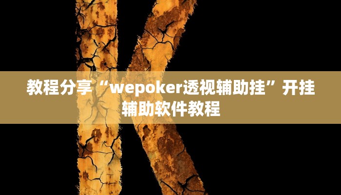 教程分享“wepoker透视辅助挂”开挂辅助软件教程