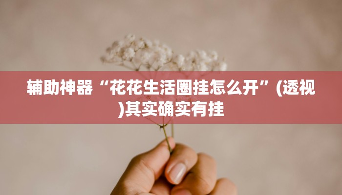 辅助神器“花花生活圈挂怎么开”(透视)其实确实有挂