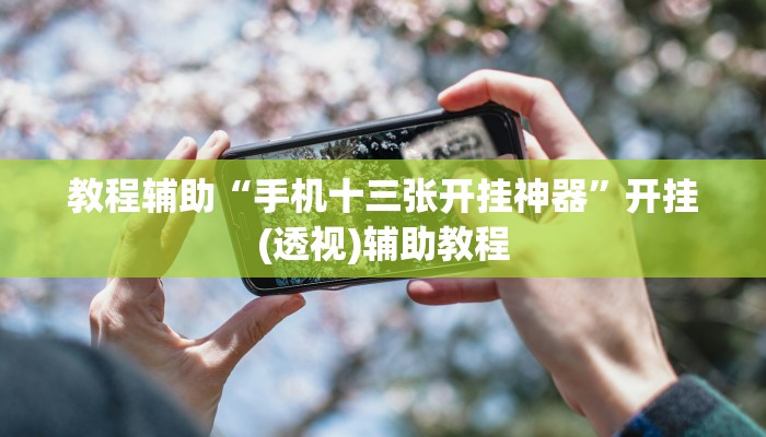 教程辅助“手机十三张开挂神器”开挂(透视)辅助教程