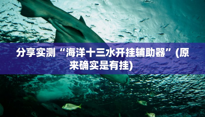 分享实测“海洋十三水开挂辅助器”(原来确实是有挂) 