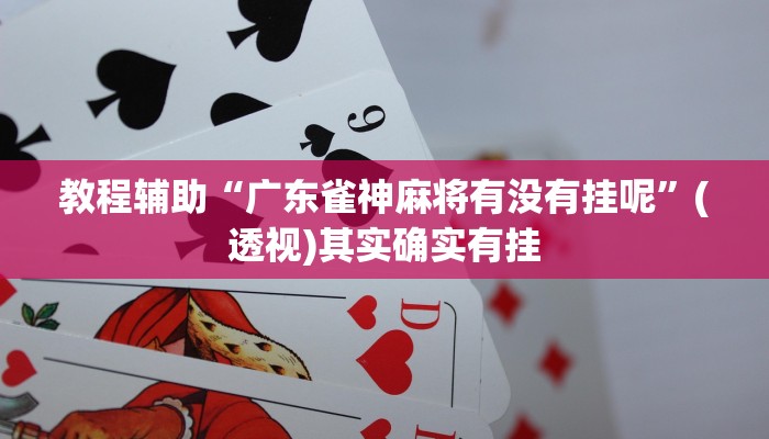 教程辅助“广东雀神麻将有没有挂呢”(透视)其实确实有挂