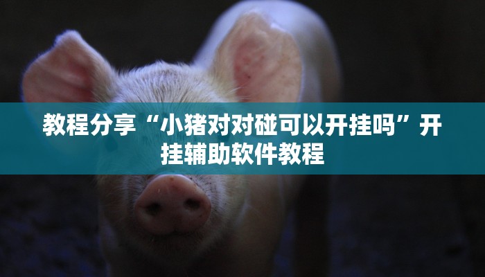 教程分享“小猪对对碰可以开挂吗”开挂辅助软件教程