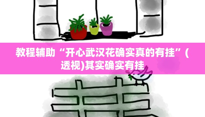 教程辅助“开心武汉花确实真的有挂”(透视)其实确实有挂 教程辅助“开心武汉花确实真的有挂”(透视)其实确实有挂