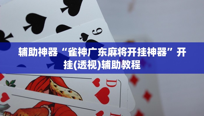 辅助神器“雀神广东麻将开挂神器”开挂(透视)辅助教程