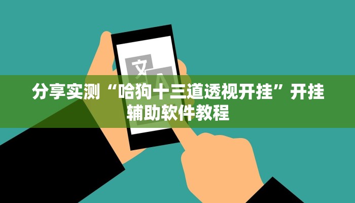 分享实测“哈狗十三道透视开挂”开挂辅助软件教程